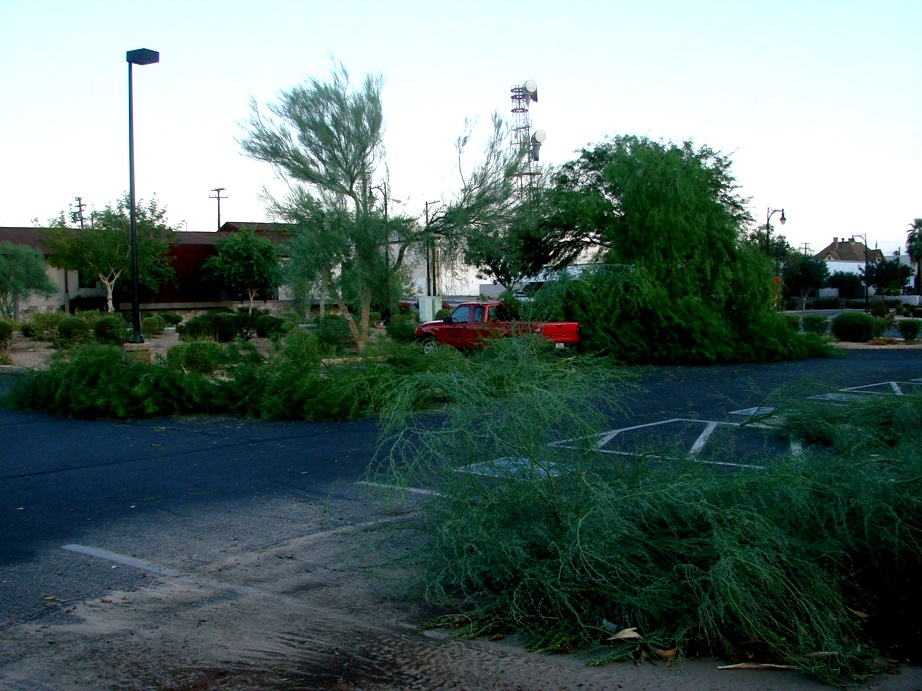 2010 August 26 Storm Damage 021