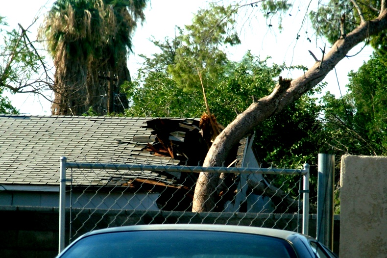 2010 August 26 Storm Damage 009