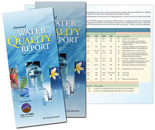 Annual Water Quality Report brochure