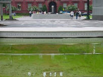 Fallen Officer Wall (surroundings)