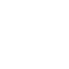 Election Icon