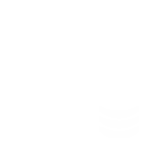 Budget-Icon