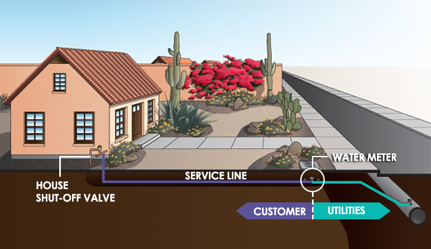 COY-Service-Line-Illustration